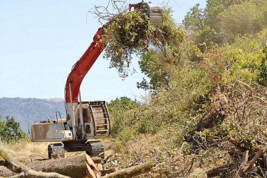 Land Cleanup